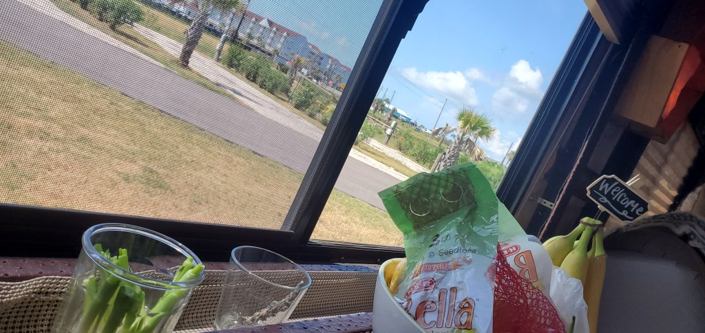 The review of Galveston out of an RV window with palm trees, beach and condos in the background and a blue sky with clouds. In the foreground are bananas hanging and a bowl of fruit and green onions growing in a glass. 