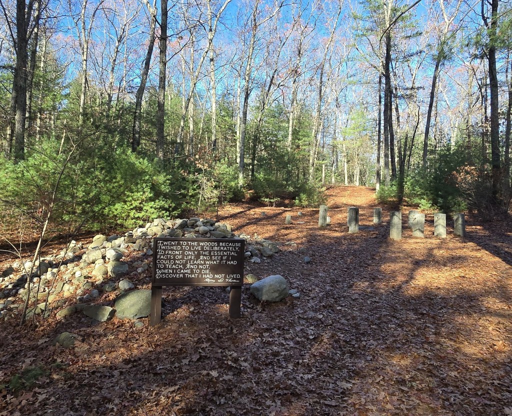 A wooded area with stone monuments to Henry David Thoreau's cabin. There is a brown wooden sign in front of the stones that says, "I went to the woods because I wished to live deliberately, to front only the essential facts of life and see if I could not learn what it had to teach and not, when I came to die, discover that I had not lived."  