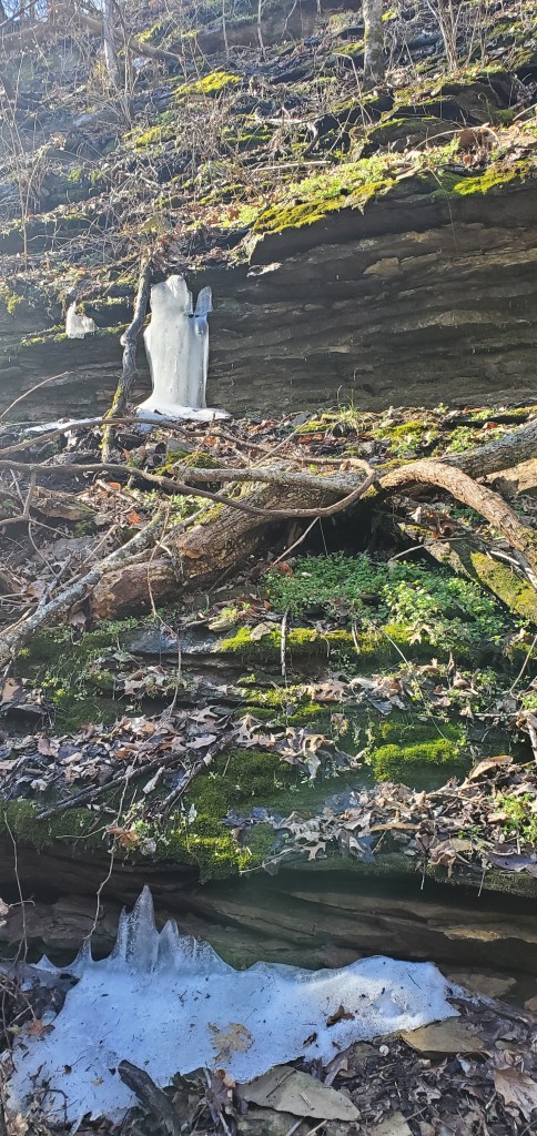 Ice formations dripping onto mossy ground and roots on a rock outcropping on a hiking trail. 