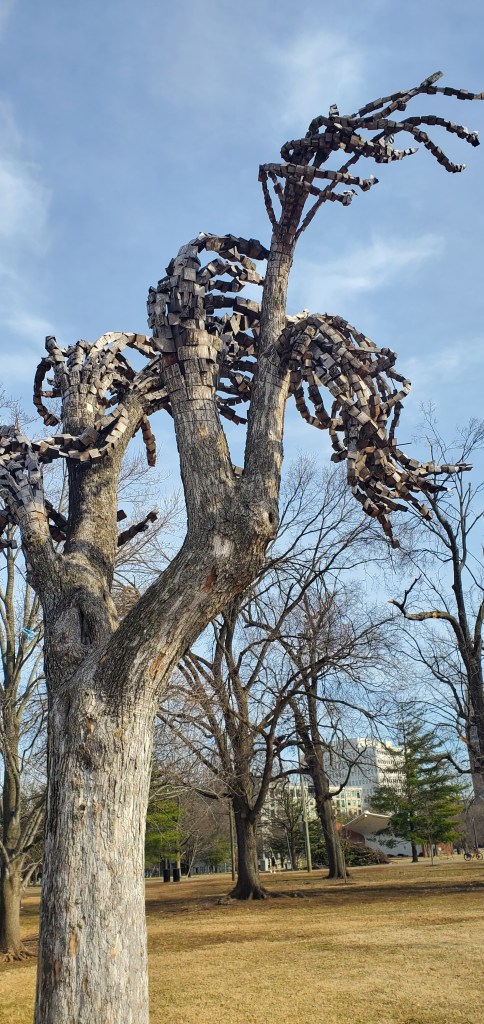 A tree in a public park whose branches have been cut and carved into block-like segments to resemble braids blowing in the wind. 