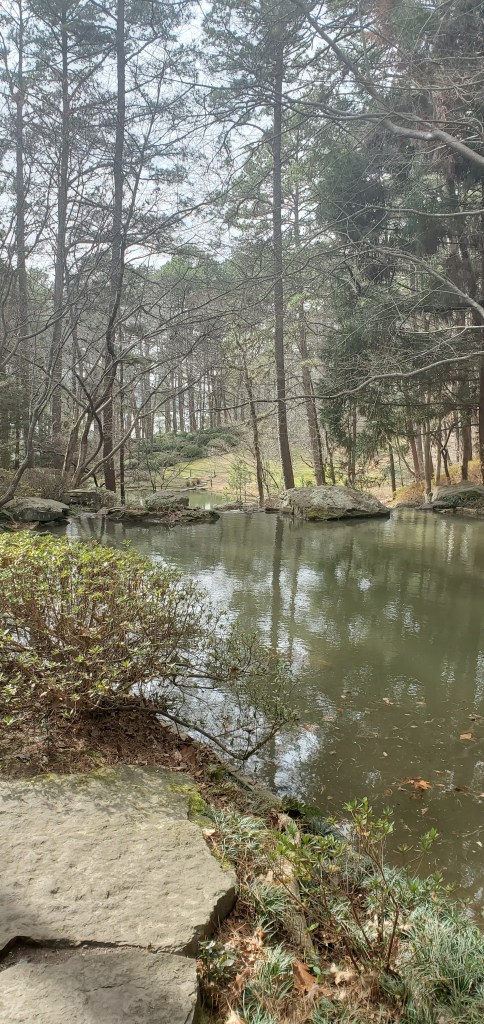 A clear green pond surrounded by pines, rocks and other green plants and vegetation. 