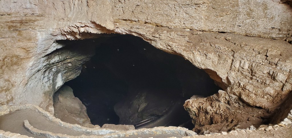 The eye-like cavern opening to Carlsbad Caverns with white and gray rock around it and a stone path leading down into the darkness of the cavern.