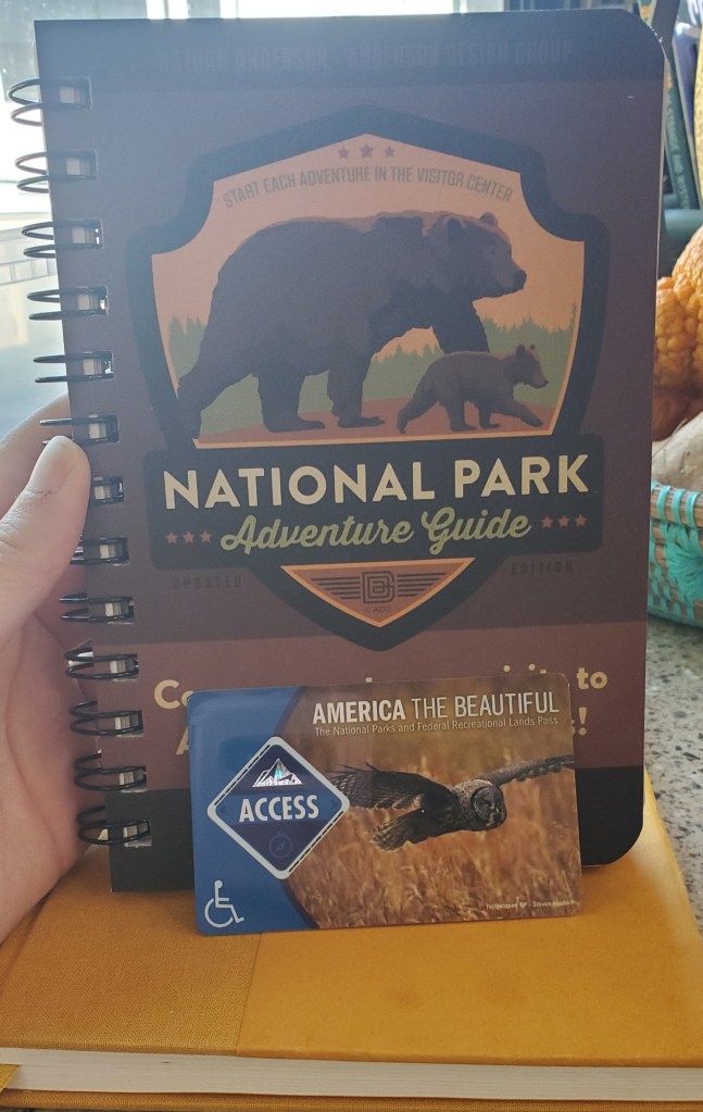 A white hand holding a brown National Park Adventure Guide book with illustrations of a mama and baby brown bears on it and an America the Beautiful Access National Park Pass with blue on the left side and a photo of a barn owl on the other side.