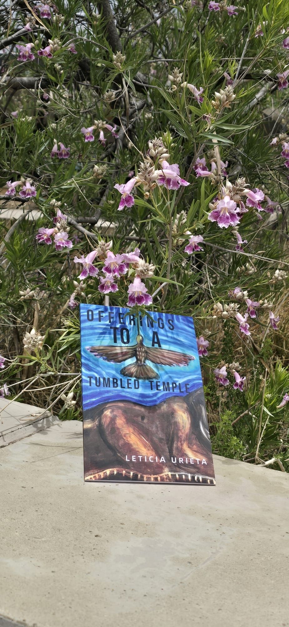 A copy of Offerings to a Tumbled Temple by Leticia Urieta propped up against a desert bush with pink flowers.