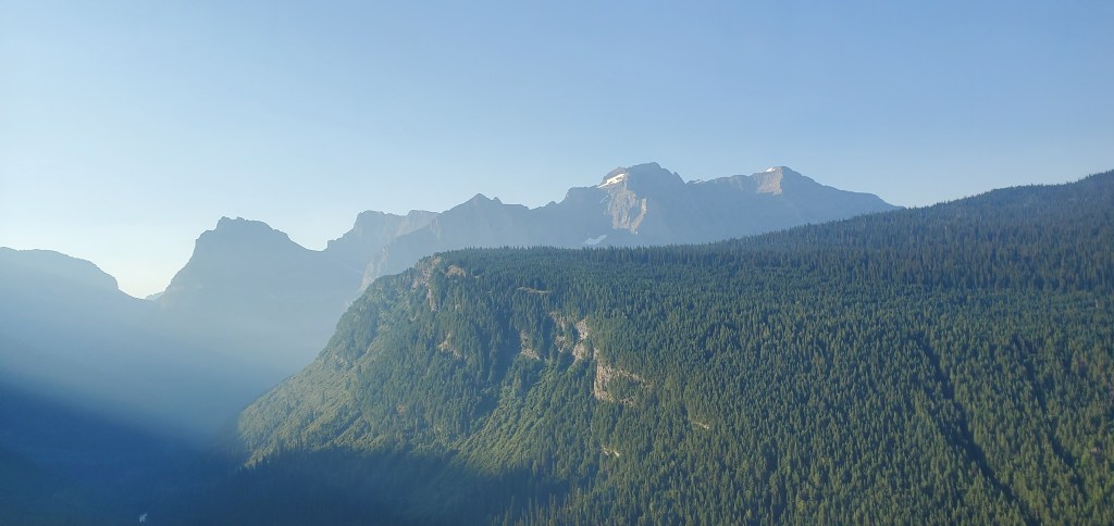 The green tree-covered mountains of Glacier National Park from the Going to the Sun Road in early morning light.